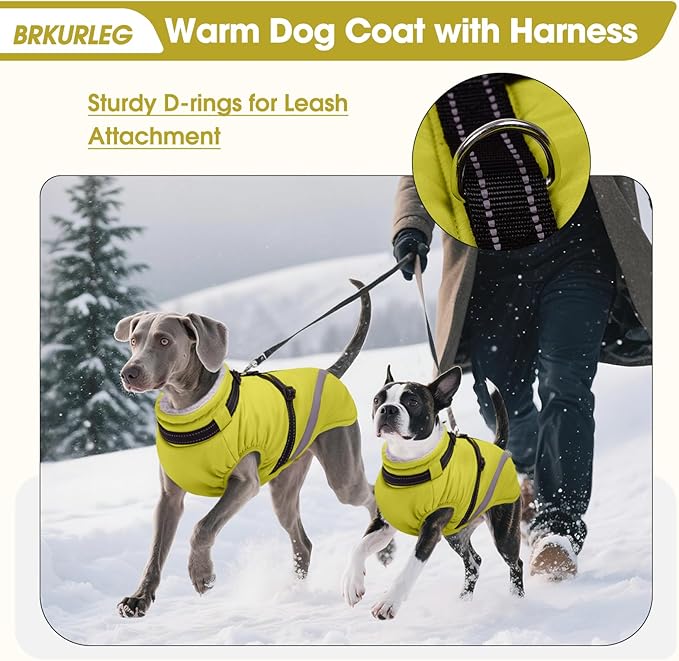 BRKURLEG Dog Winter Jackets for Small Dogs, Dog Coat with Harness Built in, Dogs Snowsuits with Zipper, Waterproof Windproof Pet Puffer Jacket Fleece Vest for Shih Tzu, Maltese, Green S
