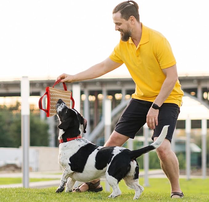 Libima 2 Pcs Dog Pillow Tug Toy Dog Pillow with Strong Handles Tug of War Training Tools Toy Linen Pad for Puppy Young Small Medium Pets Interactive Play Training