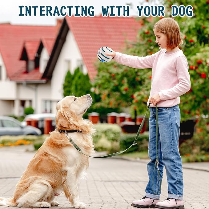 HYQ Glowing Small Dog Toys, Interactive Dog Toys Ball, Squeaky Dog Toys for Small Medium Large Dogs, Puppy Ball Dog Toys to Keep Them Busy (Glow Ball, 5.51 inch)
