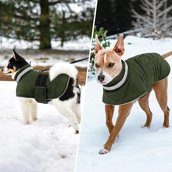 Dog Winter Coat Warm Padded Puppy Jacket Windproof Water Resistant Clothes for Small Medium Large Pets Christmas Sweater Outfit Vest(Green, 2XL)