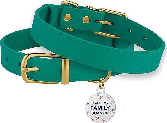 BRONZEDOG Leather Dog Collar with Metal Buckle Durable Basic Pet Collars for Small Medium Large Dogs (19-21 Inch (Pack of 1), Green & Gold Buckle)