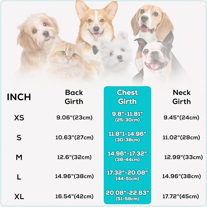 EMUST Small Dog Sweater, Reversible Winter Jacket Coats for Small Dogs, Fuzzy Pet Apparel Vest for Small Medium Dogs, Grey, S