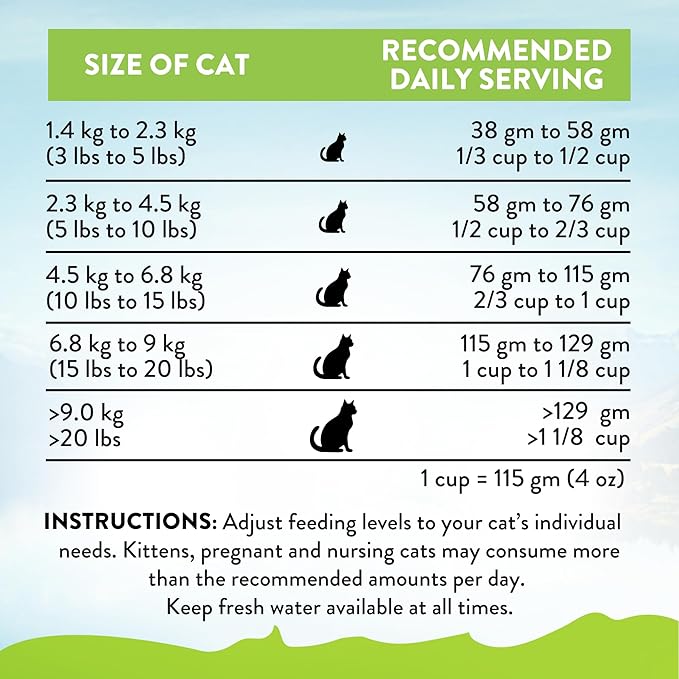 Addiction Viva Venison Grain-Free Dry Cat Food - High Protein, Natural & Hypoallergenic for Sensitive Stomach, Limited Ingredient for Allergy & Weight Management - 4lbs