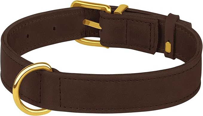 Leather Dog Collar - Heavy Duty Adjustable Soft Padded Pet Collars for Small Medium Large Dogs Breed - Black Green Brown Pink Red Blue (Brown, M, 12"-15" Neck Fit)