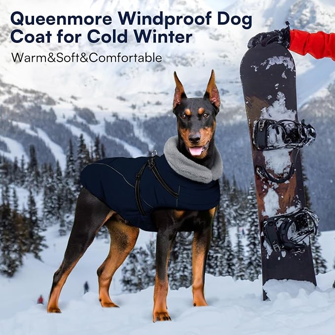 Queenmore Small Dog Coat,Dog Coat for Small Dogs,Reflective Windproof Dogs Jackets with Built-in Harness,Doggy Winter Jacket with Zipper On Back,Warm Pet Coats with Fleece Lining,NavyBlue,S