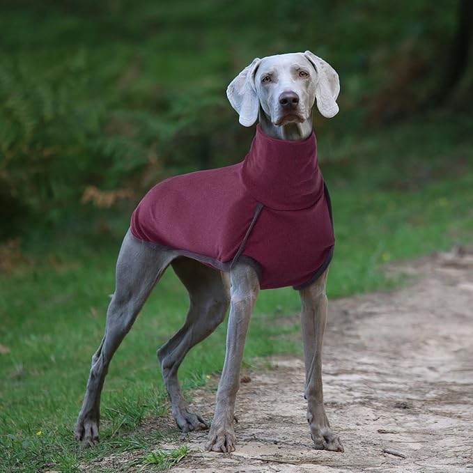 ROZKITCH Dog Sweatshirts for Small Dogs, Winter Dog Vest, Elastic Turtleneck Sweater, Lightweight Pet Shirt for Small to Large Dogs, Red S