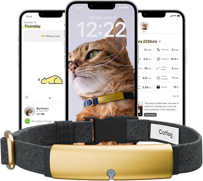 Health Tracker for Cats - Smart Cat Collar with Safety Breakaway Buckle for Indoor Cats, Wellness Alerts, Real-time Monitoring (Charcoal, XS)