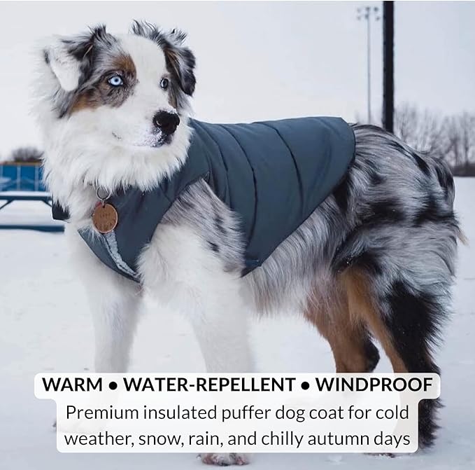 DJANGO Reversible Puffer Dog Coat – Warm Winter Dog Jacket & Water-Repellent Insulated Dog Coat w/Harness Hole, Windproof, Adjustable Fit for Small & Medium Dogs, Dachshunds – Twilight Blue, Small