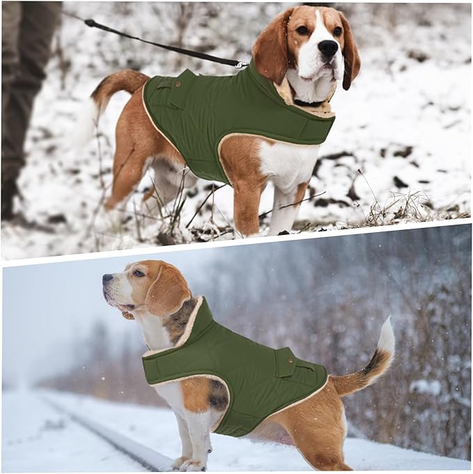 ASENKU Warm Dog Winter Coat, Waterproof Dog Coat for Cold Weather, Fleece Dogs Jacket with Ultra Thick Plush Lining Leash Hole Storage Pockets for Large Dogs (Green, Large)
