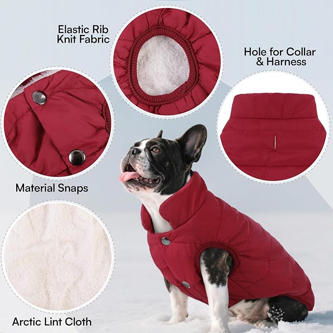ASENKU Dog Winter Coat - Waterproof Windproof Dog Jacket, Warm Snowproof Doggie Puffer Vest for Cold Weather, Lightweight Snow Coats for Small Medium Large Dogs (XL, Red)