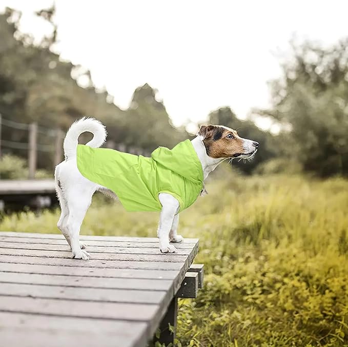 Dog Raincoat rain Jacket Dogs Waterproof fit for Small Medium Breeds Zipper Closure Pocket Storage in Cold Day - Light Green - XL