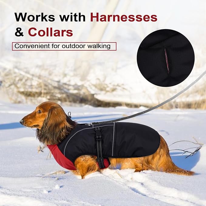 Lelepet Dachshund Coat Warm Dog Winter Coat Waterproof Dog Jacket with Fleece Lining, Reflective Outdoor Dachshund Snowsuit with Leash Hole Adjustable Neckline,Coats for Small Medium Dogs,Red, XS
