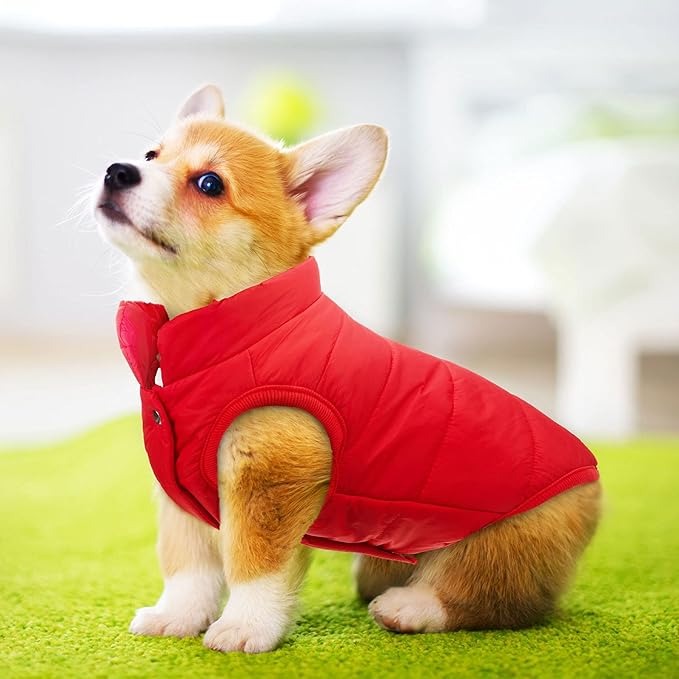 Syhood 2 Pieces Dog Jacket 2 Layers Fleece Lined Dog Jacket Warm Soft Windproof Small Pet Coat for Winter Cold Weather (Xs,Navy, Red)