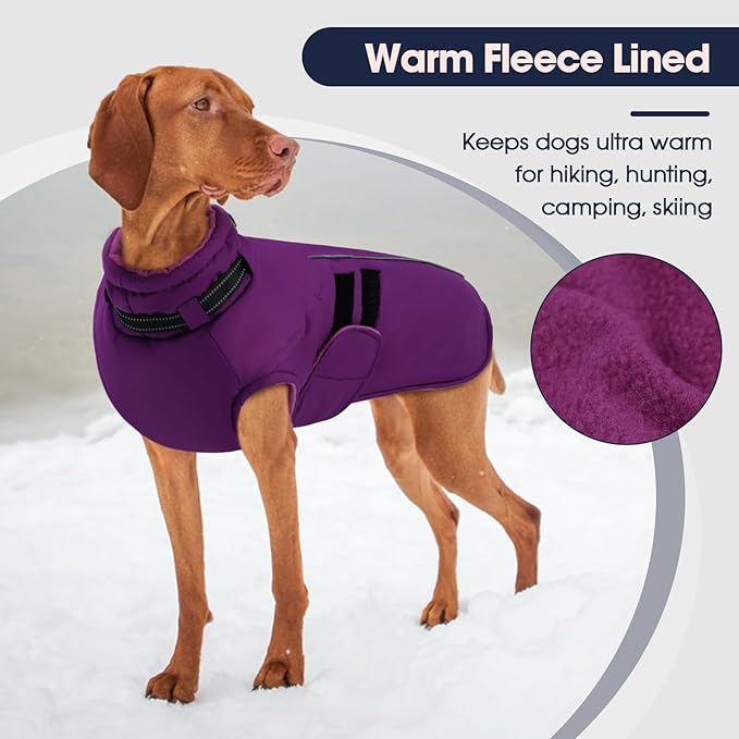 IECOii Winter Dog Coat for Extra Large Dogs, Waterproof Reflective Dog Snow Jacket for Giant Breeds, Built in Collar Snowsuit Thermal Dogs Cold Weather Coats for Great Dane, Purple - 4XL