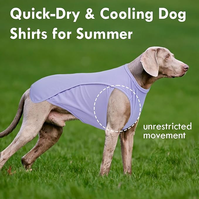 2 Pack Dog T-Shirt Quick Dry, Summer Breathable Cooling Vest, Sun Protection UPF50+ for Sensitive Skin, Stretchy Freedom of Movement for Walk, Purple+Pink, L