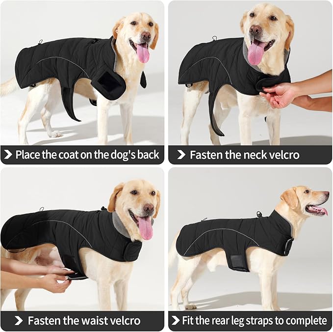 HEYWEAN Dog Winter Coat - Waterproof Windproof Reflective Vest for Medium & Large Breeds Adjustable Warm FleeceLined Jacket with Magic Tape & D-Ring for Leash Cold Weather Apparel (Black, Small)