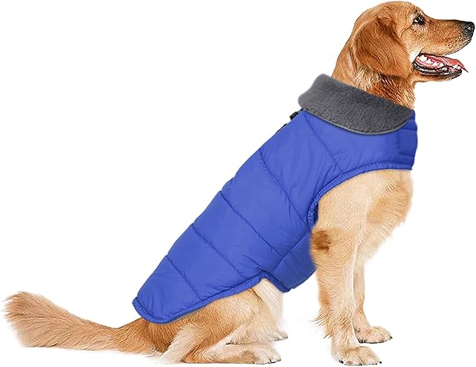 Dog Winter Coat, Waterproof Dog Jacket with Leash Hole, Reflective Adjustable Pet Snow Vest, Warm Fleece Sweater for Small Medium Large Dogs - Blue, S
