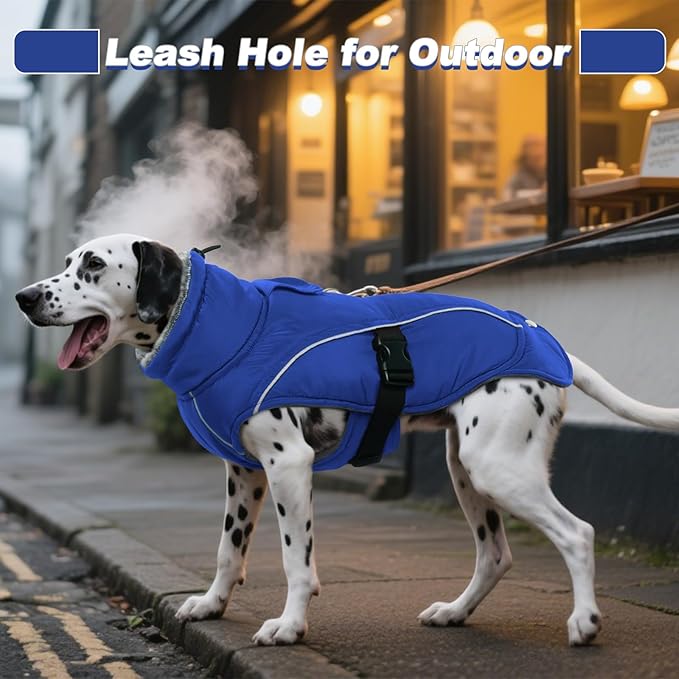 DENTRUN Dog Winter Coat - Windproof Reflective Jacket, Plush Turtleneck & Adjustable Belt, Water Repellent Fleece Lined Cold Weather Vest for Corgi Bulldog, Blue, L
