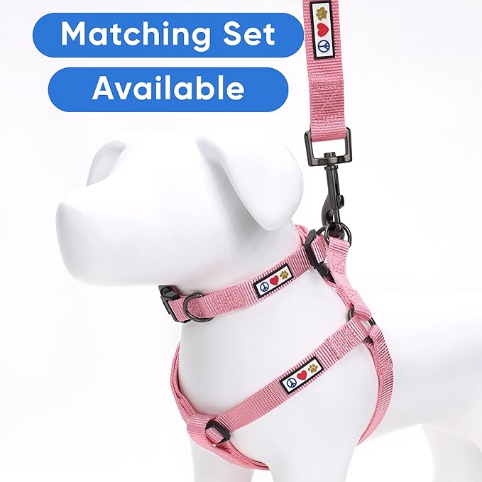 Pawtitas 6 FT Solid Color Leash for Puppy and Dog Training - Extra Extra Small, Millennial Pink