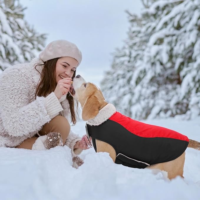 Warm Dog Coat,Waterproof Jacket in Winter Adjustable and Reversible Doggy Fleece Outfit,Thick Clothes with Foldable Collar for Puppy in Cold Days,L Red