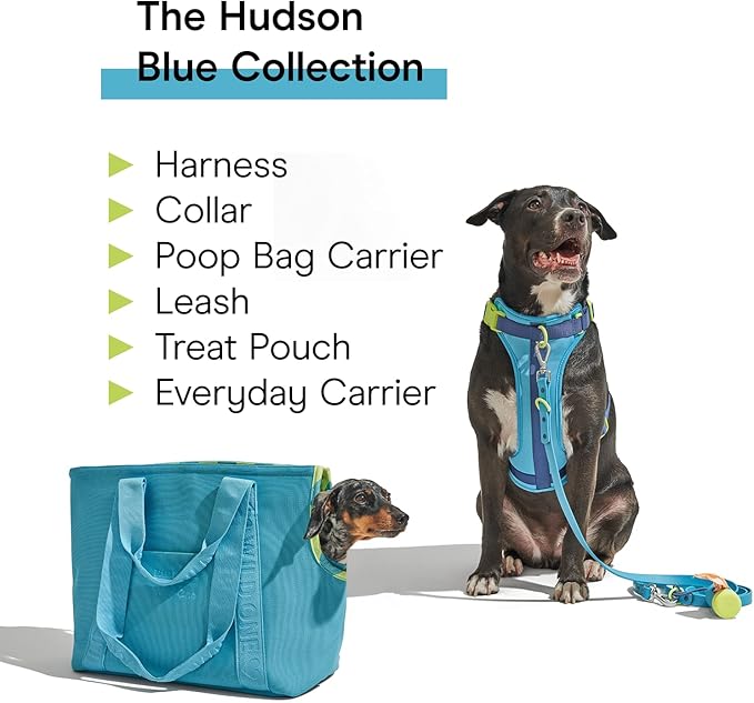 Wild One, Limited Edition, Designer Collection, Blue Dog Collar, Easy-Clean, All Weather Flex-Poly Strap with Metal, Durable, Dirt and Odor Resistant, XSmall