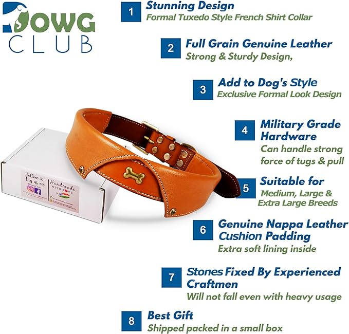 | Genuine Leather Dog Collar | Full Grain, Heavy Duty | Comfortable, Padded, Strong | Best for Pups, Small, Medium, Large & XL Breeds (Large (Fit Neck Size 18.5"-22.5"), Shirt Collar - Tan)