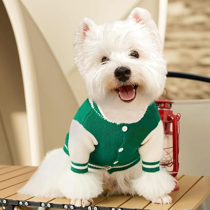Small Dog Sweater Sweatshirt Cute Puppy Sweaters - Winter Green Warm Knitted Bear Design for Puppies (S)
