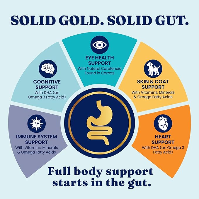 Solid Gold Lamb Dog Food Dry for Adult & Senior Dogs– High Protein Healthy Dog Kibble for Medium & Large Breeds – Whole Grain, Omega 3 & Probiotics for Gut Health & Digestion – Nutrientboost™ –22LB
