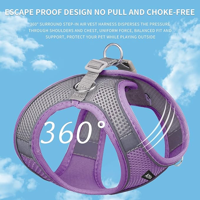 AIITLE Step in Dog Harness and Leash Set - Summer No Pull Escape Proof Vest Harnesses with Soft Mesh and Reflective Bands, Adjustable Pet Outdoor Harnesses for Small and Medium Dogs Purple M