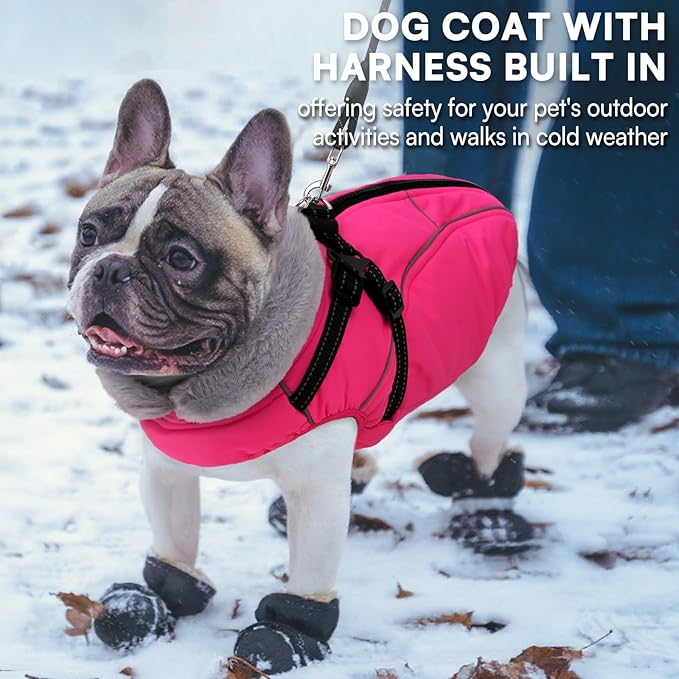 Queenmore Dog Coat,Windproof Dog Coat for Medium Dogs,Dogs Jackets with Harness Built in,Waterproof Doggy Coats with Zipper On Back,Reflective Cold Weather Coats for Dachshund,Boston Terrier,RoseRed,M
