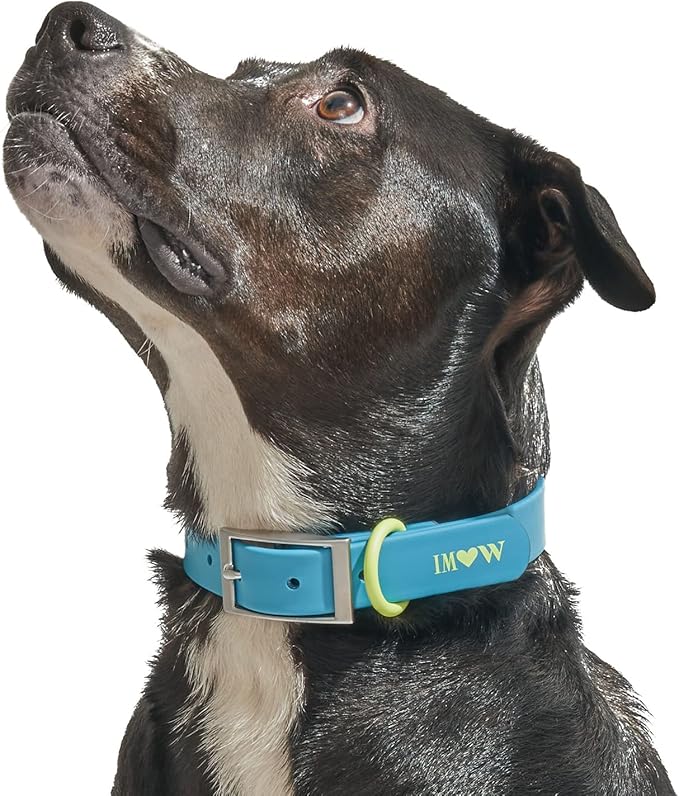 Wild One, Limited Edition, Designer Collection, Blue Dog Collar, Easy-Clean, All Weather Flex-Poly Strap with Metal, Durable, Dirt and Odor Resistant, XSmall