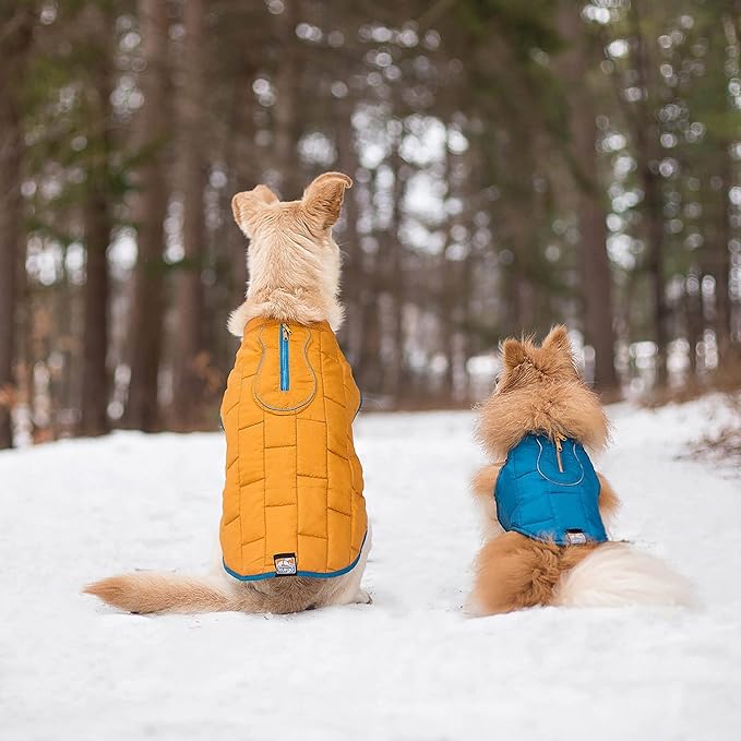 Kurgo Loft Dog Jacket - Reversible Cozy Coat for Outdoor Adventures - Water Resistant - Athletic Fit - Machine Washable Fabric - Reflective Dog Gear - X-Small - Coastal Blue