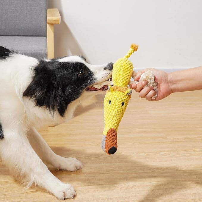 Dog Toys, Dog Plush Toy for Large Breed, Cute Squeaky Dogs Toy with Crinkle Paper, Puppy Stuffed Animal Chew Toys for Small, Middle, Large Breed (Lion)