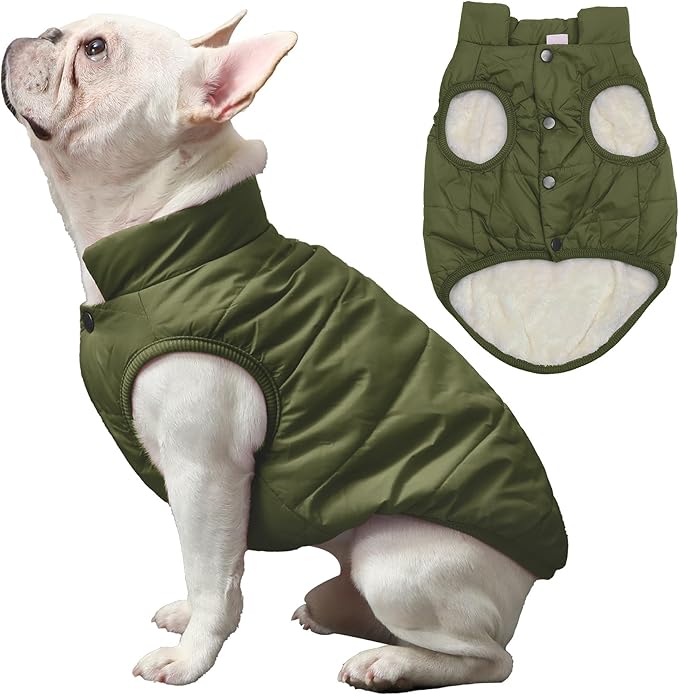 Fleece Lined Warm Dog Jacket for Winter Cold Weather,Soft Windproof Medium Dog Coat,Green XL