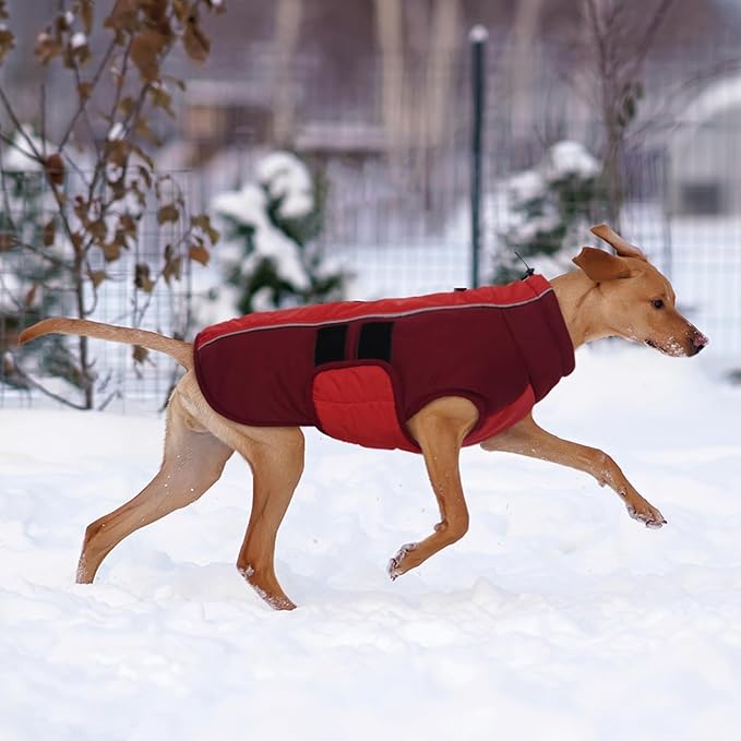 Kuoser Dog Jacket, Warm Dog Coats for Small Dogs, Reflective Doggie Winter Jacket Cold Weather Pet Coats with Leash Hole, Winter Coat Apparel for Yorkie Chihuahua, Red XS