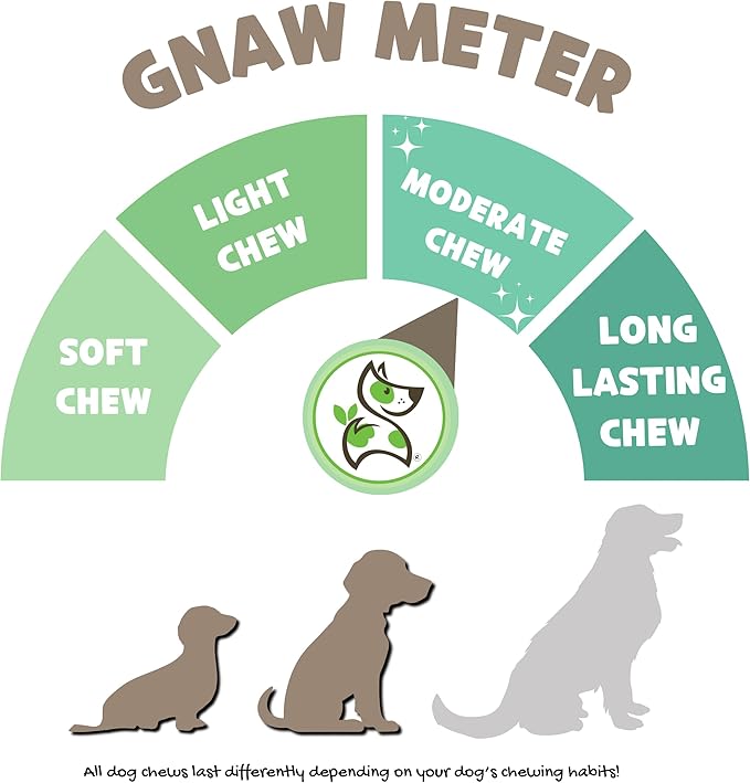 Nature Gnaws Braided Bully Twists for Dogs 5-6" (10 Count) - Long Lasting for Small and Medium Dogs - Natural Beef Dog Chew Bones