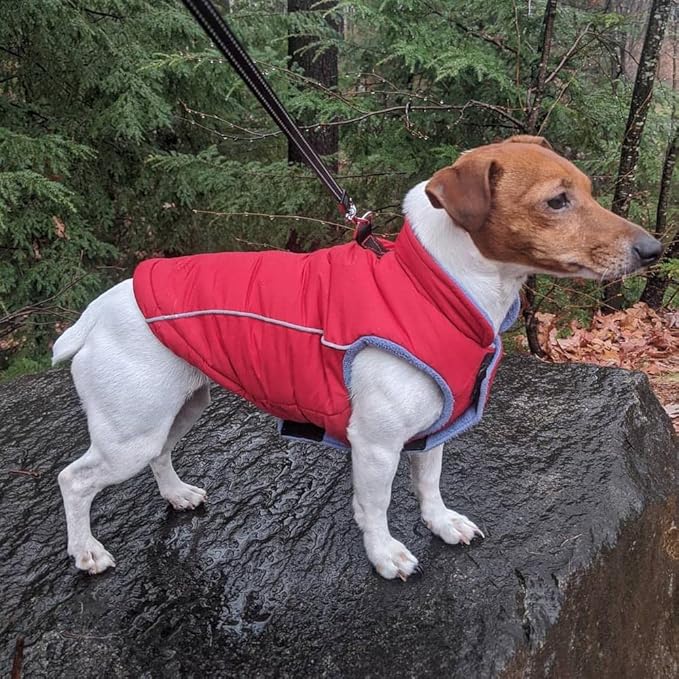 Gooby Sports Vest Dog Jacket - Red, Medium - Reflective Dog Vest with D Ring Leash Warm Fleece Lined Hook and Loop Closure for Small to Medium Dogs
