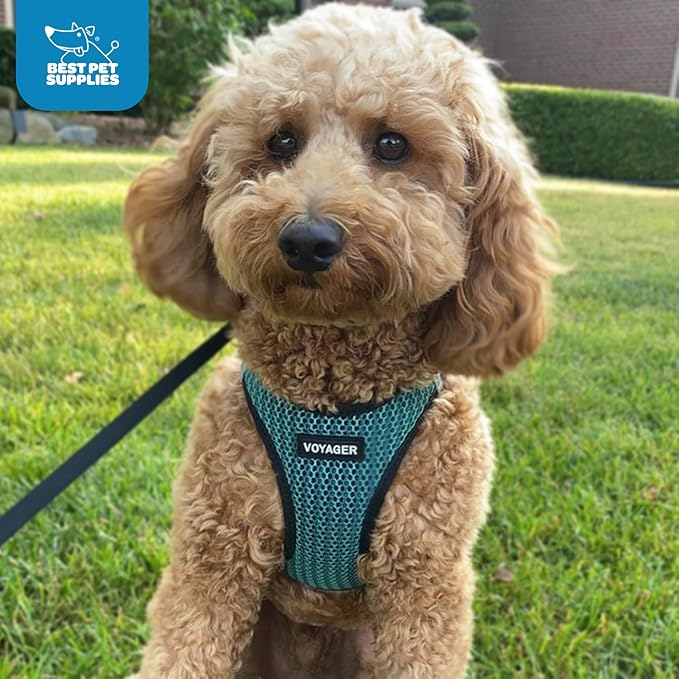 Best Pet Supplies Voyager Step-in Air Harness - All Weather Mesh, Reflective, No Pull Harness for Dogs, Cats - Secure with Hook & Loop Fastener, Buckle, Double D-Rings - Tone, S
