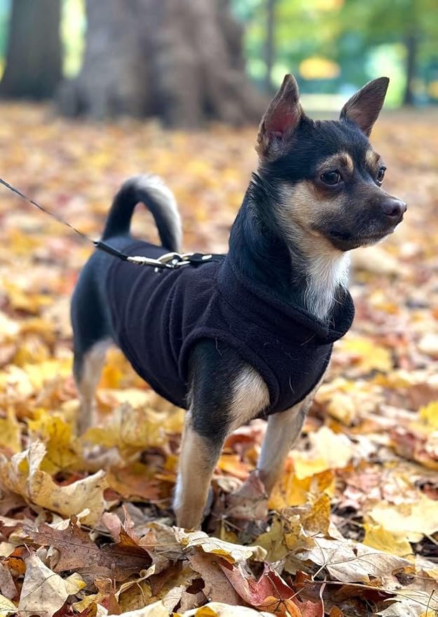 JACKO & CO - Fleece Vest Dog Sweater with Leash Ring - Soft, Warm & Lightweight Pullover Coat for Small & Medium Dogs, Puppies & Cats - Cozy Fall/Winter/Spring Pet Jacket (Black, Small 4-6lbs)