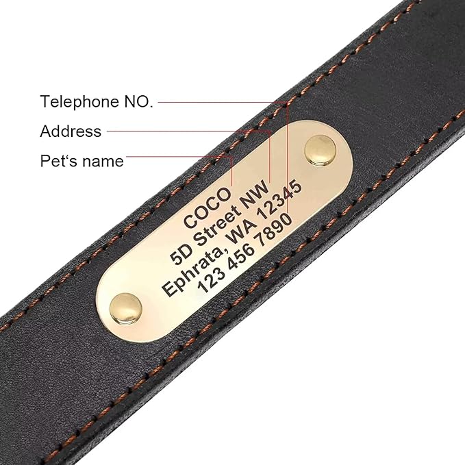 Didog Genuine Leather Dog Collars with Engraved Nameplate, Personalized Soft Leather Dog Collar with Custom ID Tag, Brown/Green/Red for Small Dogs (S,Black)