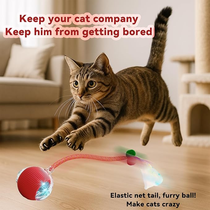 Interactive Cat Toys for Indoor Cats, Automatic Cat Toy with Elastic Mesh Tail, Electric Rolling Ball on Carpet, Chirping and Motion Activate Cat