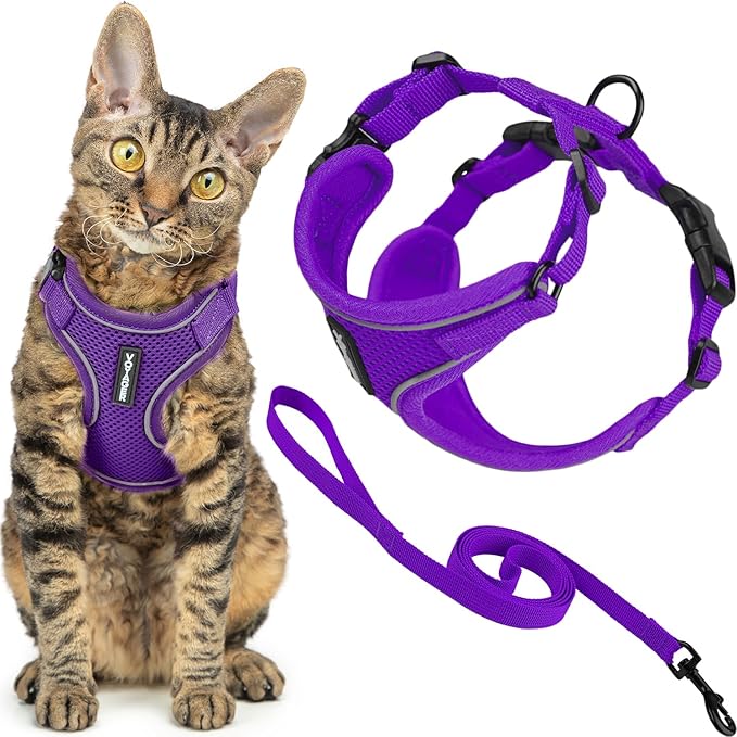 Voyager Escape Proof Cat Harness and Leash Set with Reflective Stitching, Neoprene Handle 5ft - Supports Small, Medium and Large Cats, Kittens for Walking by Best Pet Supplies - Purple, XS
