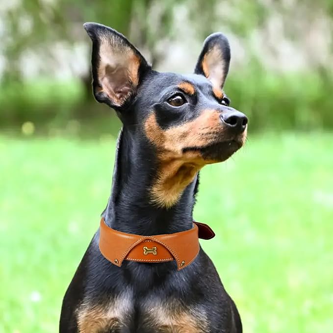 | Formal Tuxedo Shirt Collar Style Genuine Leather Collar for Dogs & Cats | Comfortable, Strong, Cushion Napa Padding (Shirt Collar - Tan, XL (Fit Neck Size 22"-26"))