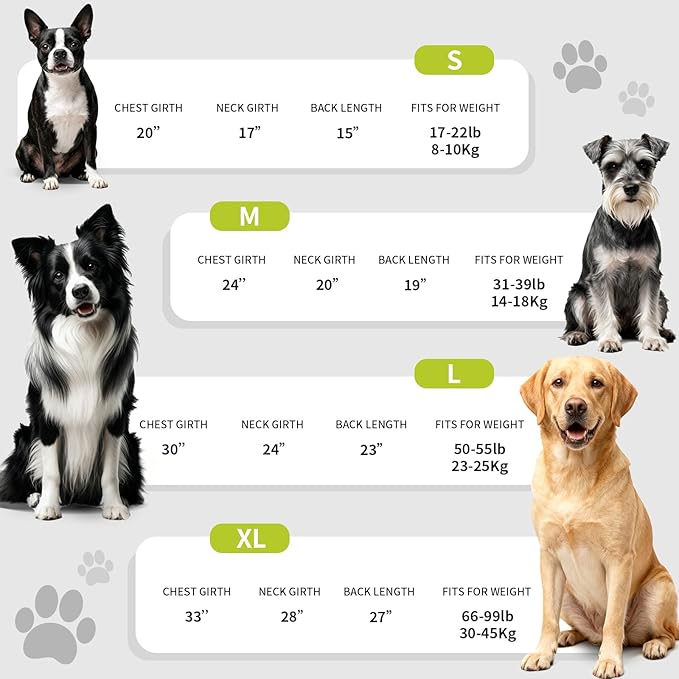 Dog Raincoat, Waterproof Windproof Dog Rain Jacket with Hood, Rain Coat with Leash Hole, Adjustable Raincoat Poncho for Small Medium Large Dogs Outdoor (Neon Yellow, Large)