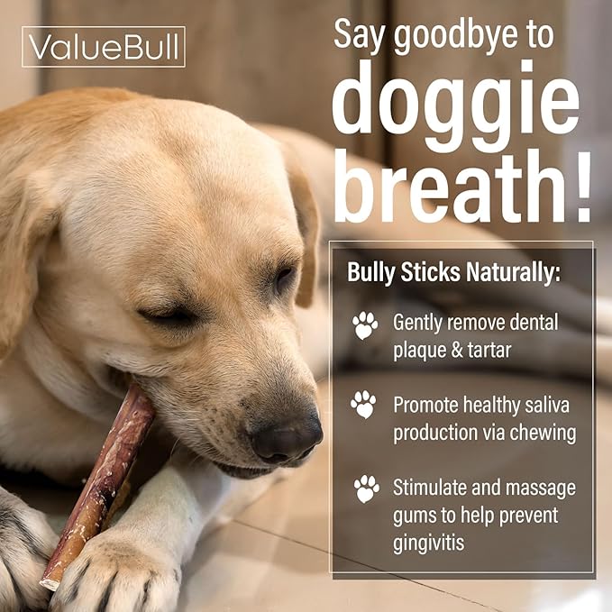 ValueBull Bully Sticks for Small Dogs, Extra Thin 6 Inch, 50 Count - All Natural, Grass Fed, Single Ingredient, Long Lasting Dog Treats
