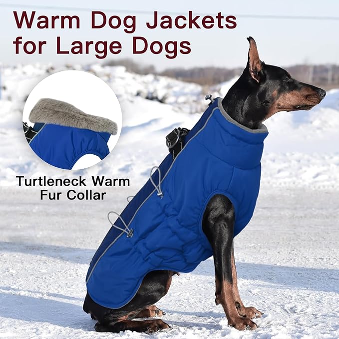 Dog Coat Dog Winter Jacke- XX Large, Warm Zip Up Snowsuit Dog Harness Vest Reflective Water-Resistant Dog Coat Dog Snow Jacket for Large Dogs Border Collie, Pit Bull, Royal-Blue