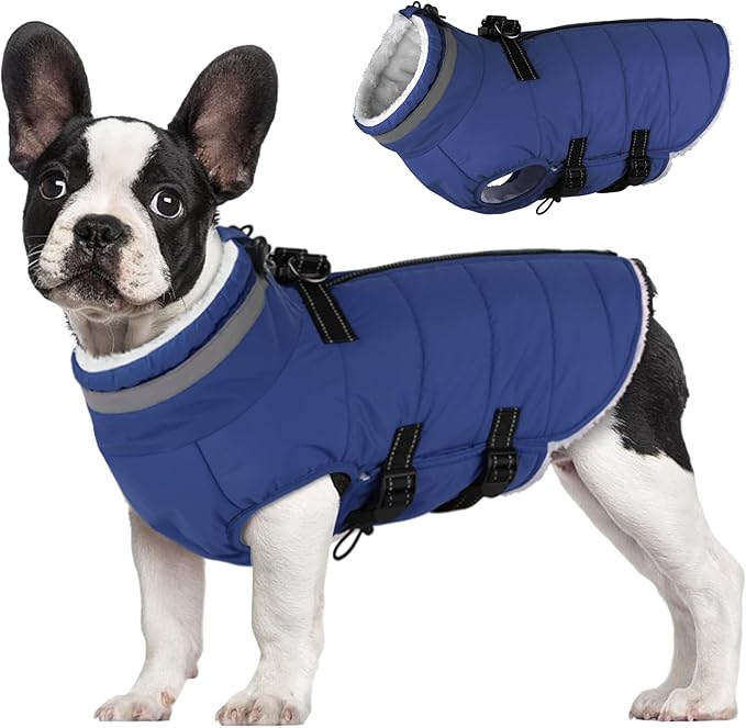 Large Dog Coat with Harness Built-in, Waterproof Reflective Fleece Lined - Warm Windproof Winter Jacket with Back Zipper, Cold Weather Snow Dog Coats - Blue - XL