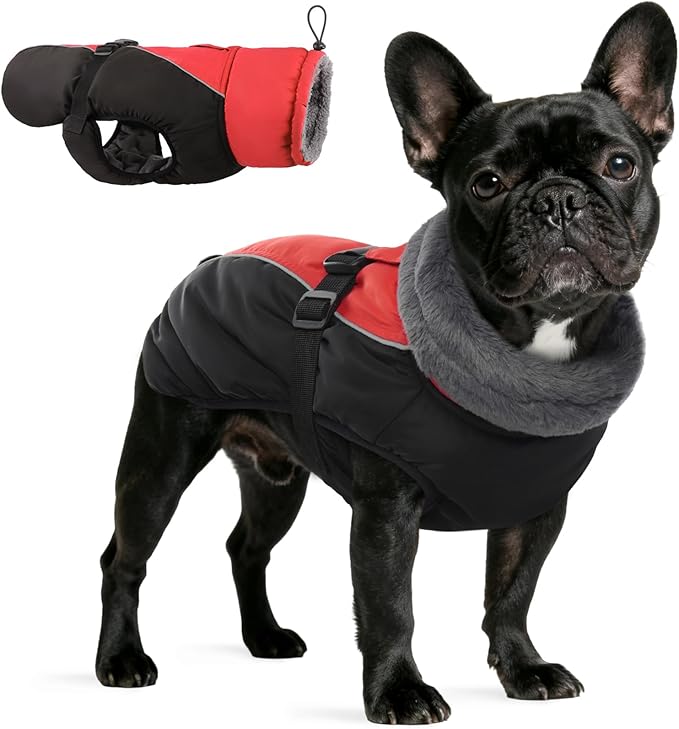 IDOMIK Dog Winter Coat, Reflective Waterproof Dog Jacket for Cold Weather, Warm Pet Coats for Small Medium Large Dogs, High Collar Doggy Fleece Snow Jacket, Winter Vest with Adjustable Buckle,M