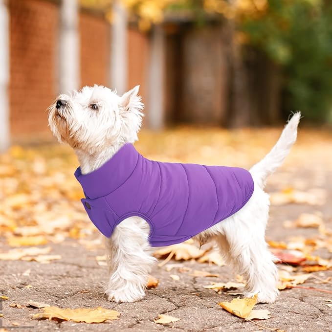 ASENKU Dog Winter Coat - Waterproof Windproof Dog Jacket, Warm Snowproof Doggie Puffer Vest for Cold Weather, Lightweight Snow Coats for Small Medium Large Dogs (Purple, L)