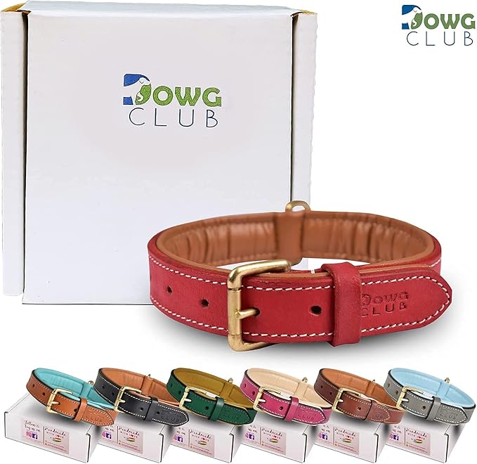 Leather Dog Collar for Extra Large Dogs, 1.5 Inch Wide Red Dog Collar | Genuine, Full Grain, Heavy Duty, Comfortable, Inner Soft Padding | (X-Large (Fit Neck Size 22"-26"), Red)